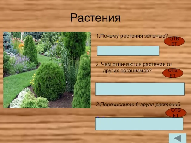 Растения 1.Почему растения зеленые? Содержат хлоропласты 2. Чем отличаются растения от