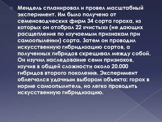 Мендель спланировал и провел масштабный эксперимент. Им было получено от семеноводческих