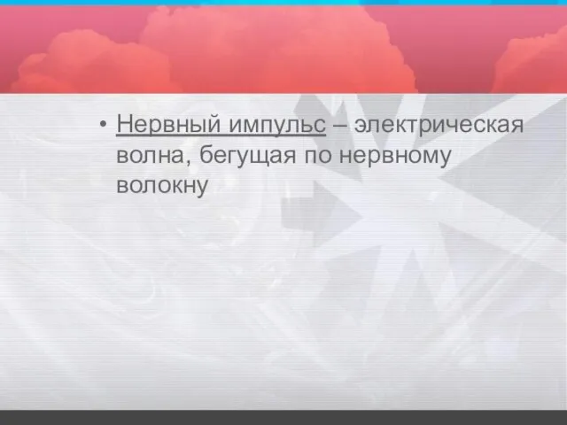 Нервный импульс – электрическая волна, бегущая по нервному волокну