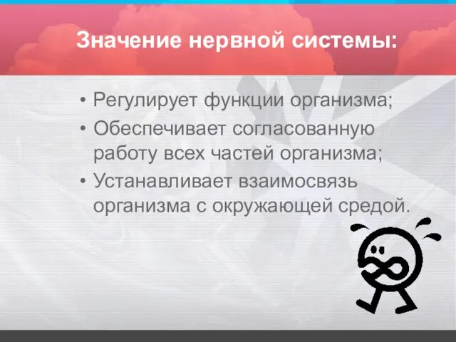 Значение нервной системы: Регулирует функции организма; Обеспечивает согласованную работу всех частей