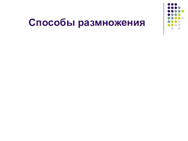 Способы размножения