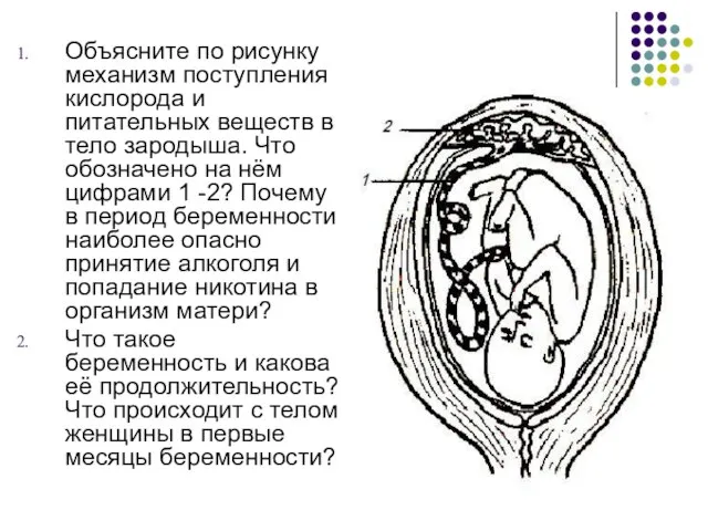 Объясните по рисунку механизм поступления кислорода и питательных веществ в тело