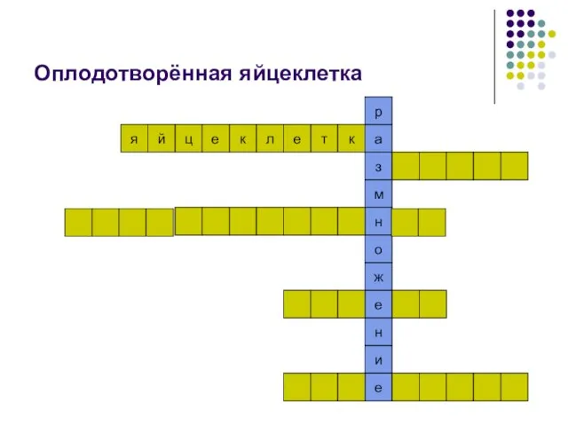 Оплодотворённая яйцеклетка е к л е т к и н е