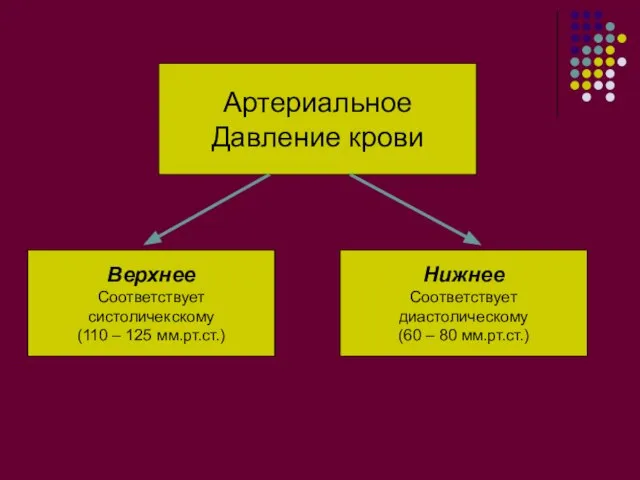 Артериальное Давление крови Верхнее Соответствует систоличекскому (110 – 125 мм.рт.ст.) Нижнее