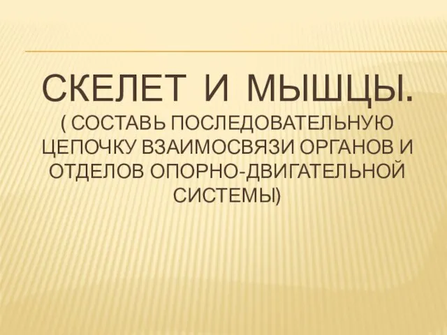 Скелет и мышцы. ( Составь последовательную цепочку взаимосвязи органов и отделов опорно-двигательной системы)