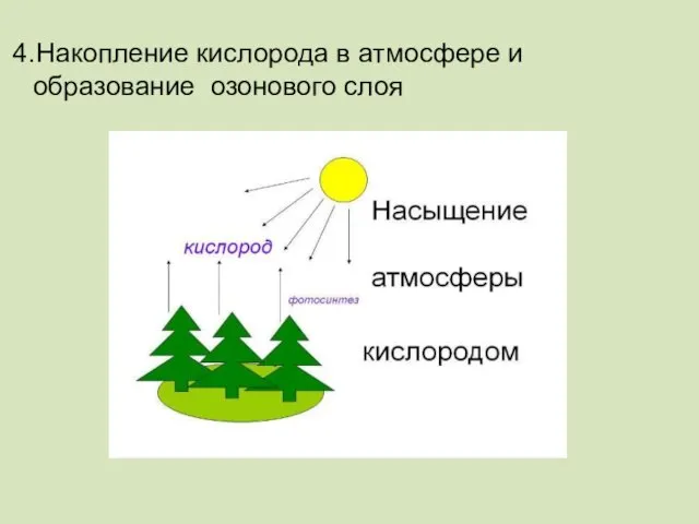 4.Накопление кислорода в атмосфере и образование озонового слоя