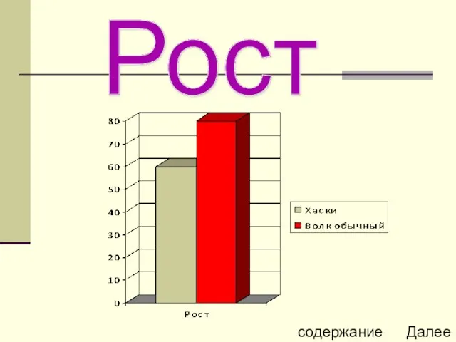 Рост содержание Далее