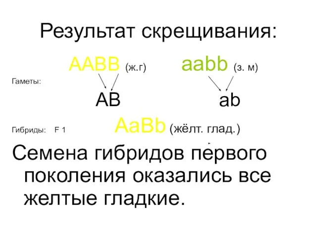 Результат скрещивания: AABB (ж.г) aabb (з. м) Гаметы: AB ab Гибриды: