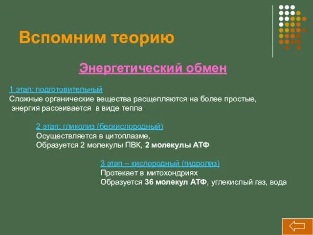 Вспомним теорию Энергетический обмен 1 этап: подготовительный Сложные органические вещества расщепляются