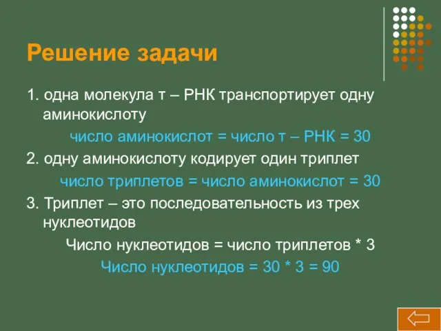 Решение задачи 1. одна молекула т – РНК транспортирует одну аминокислоту