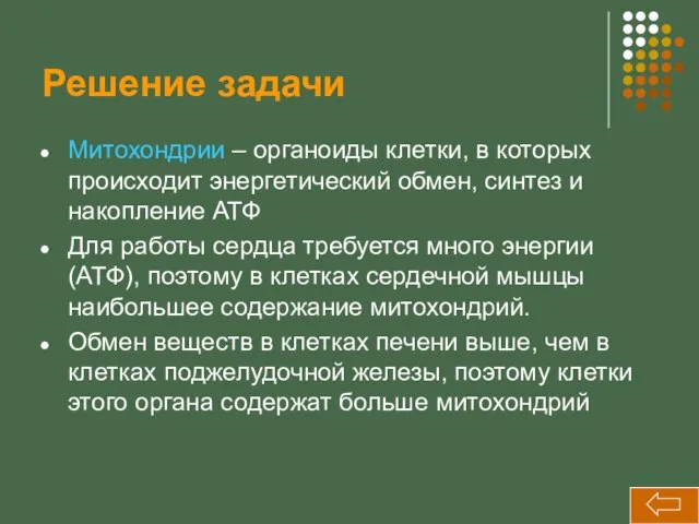 Решение задачи Митохондрии – органоиды клетки, в которых происходит энергетический обмен,