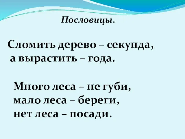 Пословицы. Сломить дерево – секунда, а вырастить – года. Много леса