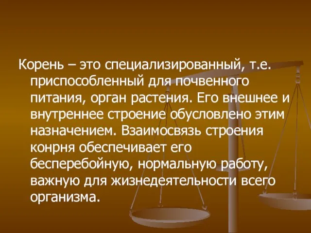 Корень – это специализированный, т.е. приспособленный для почвенного питания, орган растения.