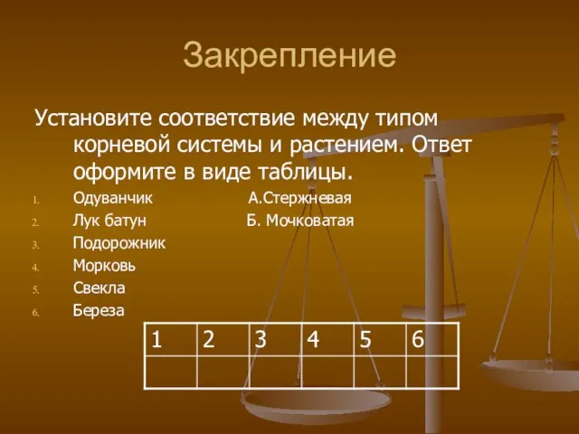 Закрепление Установите соответствие между типом корневой системы и растением. Ответ оформите