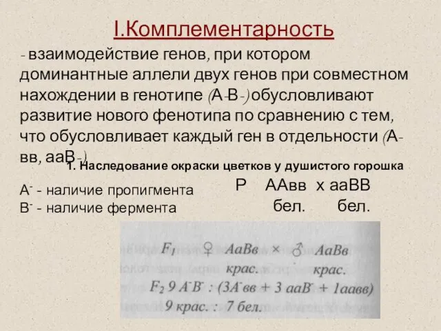 I.Комплементарность - взаимодействие генов, при котором доминантные аллели двух генов при