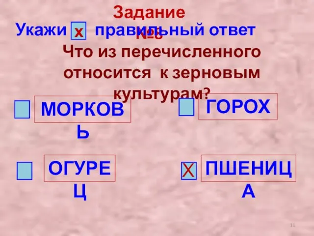 Задание №8 Укажи правильный ответ х Что из перечисленного относится к