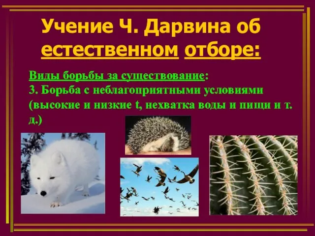 Учение Ч. Дарвина об естественном отборе: Виды борьбы за существование: 3.