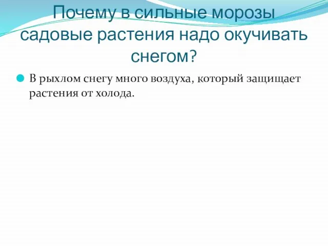 Почему в сильные морозы садовые растения надо окучивать снегом? В рыхлом