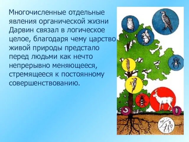 Многочисленные отдельные явления органической жизни Дарвин связал в логическое целое, благодаря