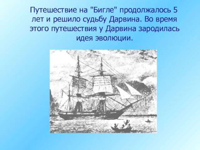 Путешествие на "Бигле" продолжалось 5 лет и решило судьбу Дарвина. Во