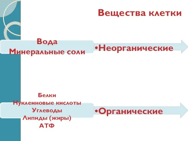 Вещества клетки