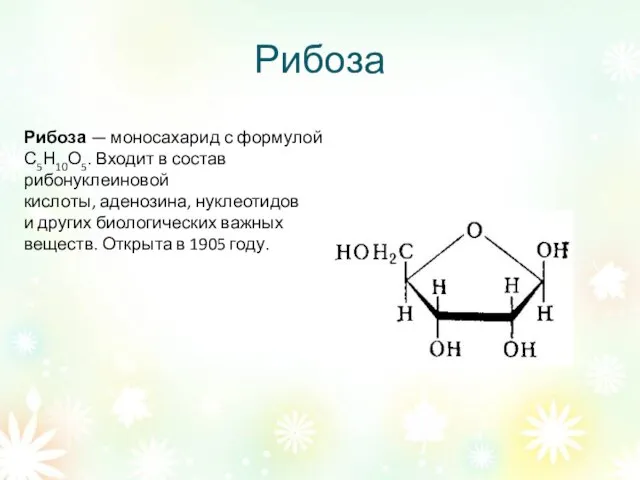 Рибоза Рибоза — моносахарид с формулой С5Н10О5. Входит в состав рибонуклеиновой