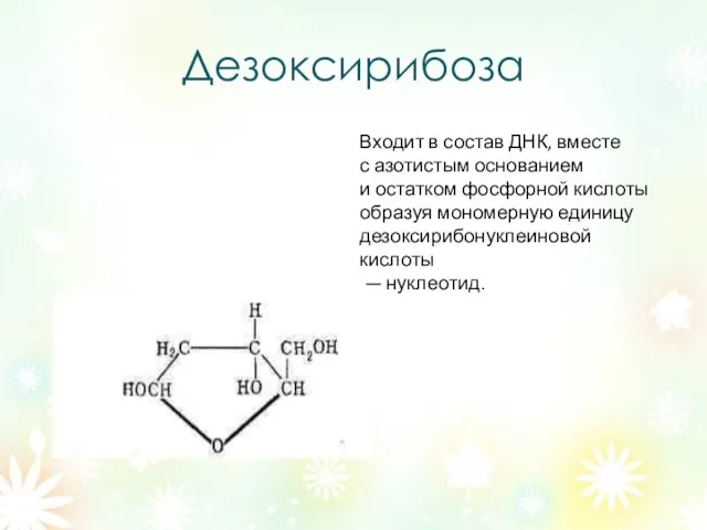 Дезоксирибоза Входит в состав ДНК, вместе с азотистым основанием и остатком