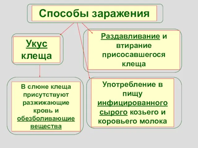 Способы заражения Укус клеща Раздавливание и втирание присосавшегося клеща Употребление в