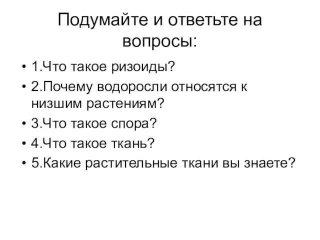 Подумайте и ответьте на вопросы: 1.Что такое ризоиды? 2.Почему водоросли относятся