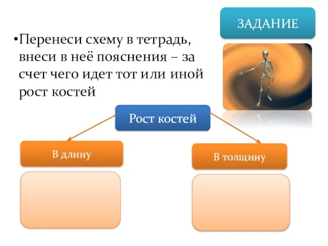 ЗАДАНИЕ Перенеси схему в тетрадь, внеси в неё пояснения – за