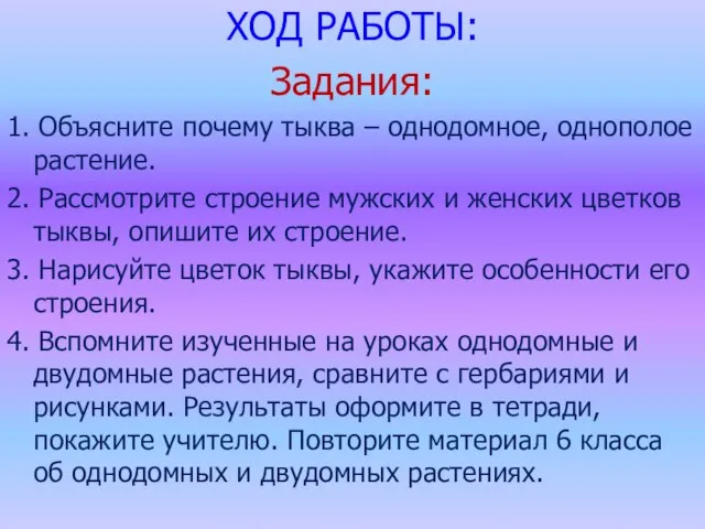 ХОД РАБОТЫ: Задания: 1. Объясните почему тыква – однодомное, однополое растение.