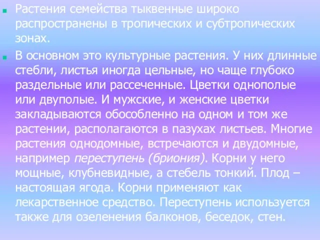 Растения семейства тыквенные широко распространены в тропических и субтропических зонах. В