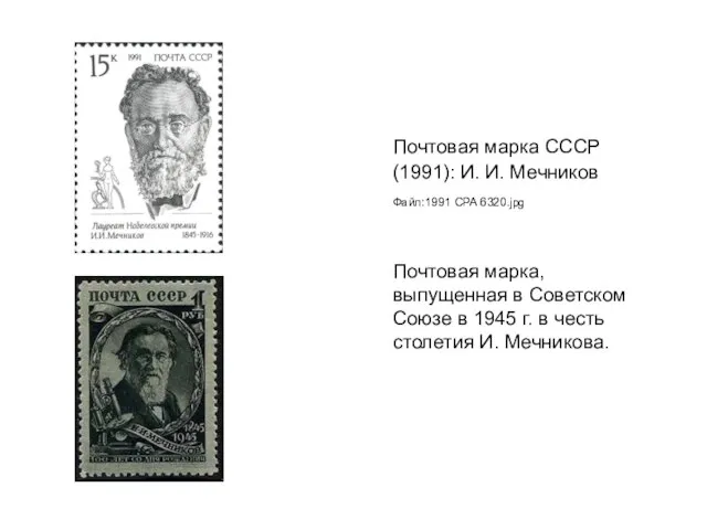 Почтовая марка СССР (1991): И. И. Мечников Файл:1991 CPA 6320.jpg Почтовая