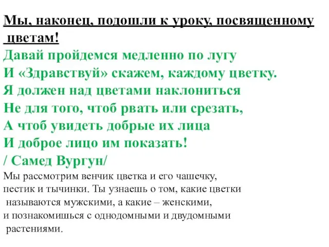 Мы, наконец, подошли к уроку, посвященному цветам! Давай пройдемся медленно по