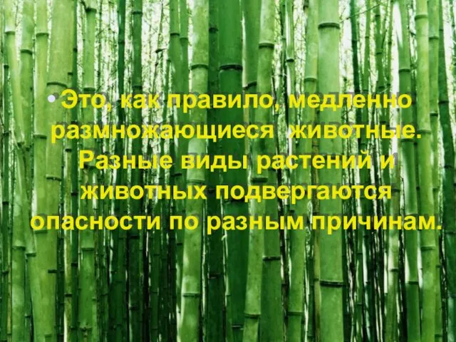 Это, как правило, медленно размножающиеся животные. Разные виды растений и животных подвергаются опасности по разным причинам.