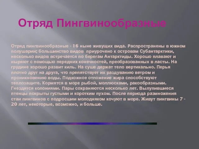 Отряд Пингвинообразные Отряд пингвинообразные - 16 ныне живущих вида. Распространены в