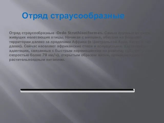 Отряд страусообразные Отряд страусообразные -Ordo Struthioniformes. Самые крупные из ныне живущих