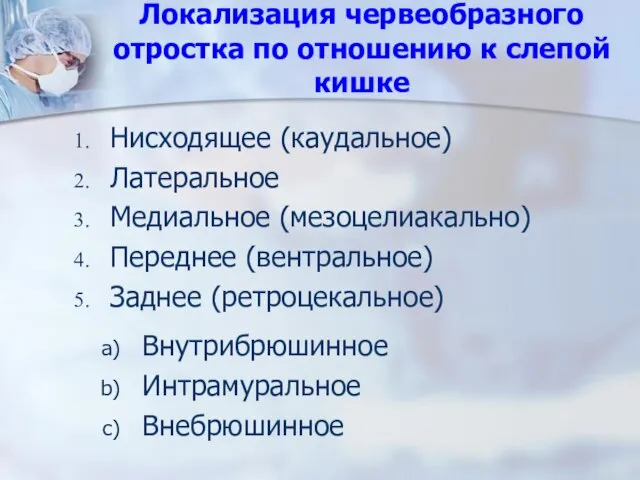 Локализация червеобразного отростка по отношению к слепой кишке Нисходящее (каудальное) Латеральное