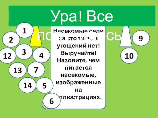 Иркутская область Из других областей Насекомые сели за столики, а угощений