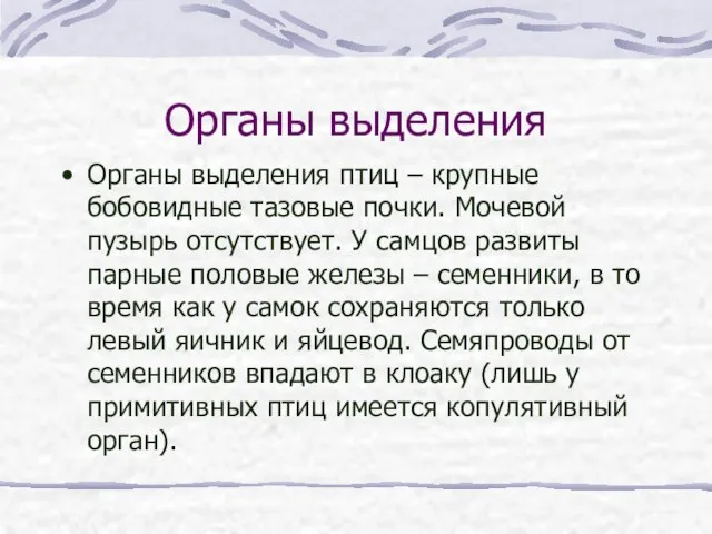 Органы выделения Органы выделения птиц – крупные бобовидные тазовые почки. Мочевой