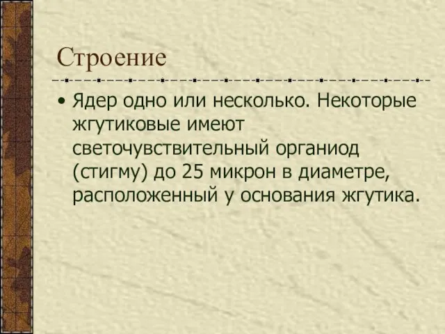 Строение Ядер одно или несколько. Некоторые жгутиковые имеют светочувствительный органиод (стигму)