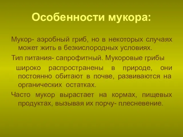 Особенности мукора: Мукор- аэробный гриб, но в некоторых случаях может жить