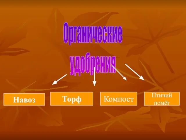 Органические удобрения Навоз Торф Компост Птичий помёт