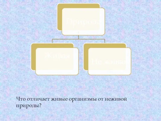 Что отличает живые организмы от неживой природы?