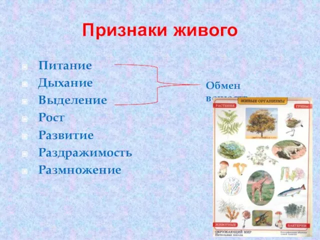 Признаки живого Питание Дыхание Выделение Рост Развитие Раздражимость Размножение Обмен веществ