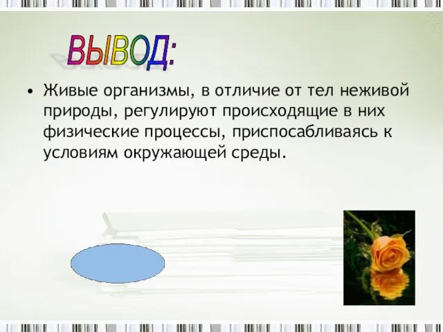 Живые организмы, в отличие от тел неживой природы, регулируют происходящие в