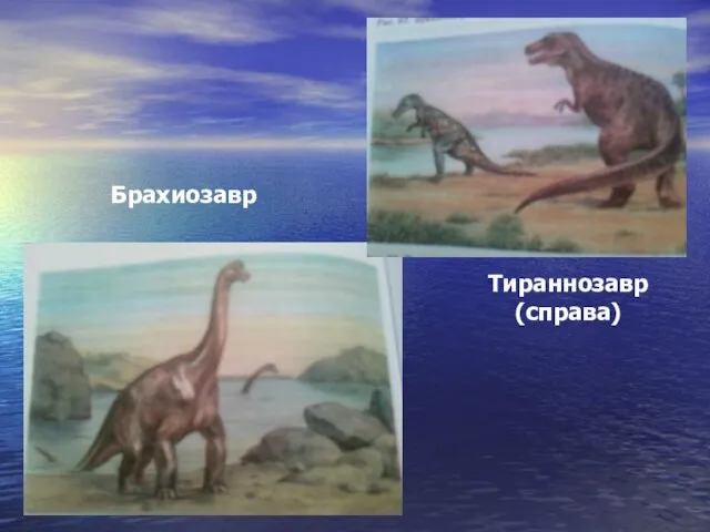 Брахиозавр Тираннозавр (справа)