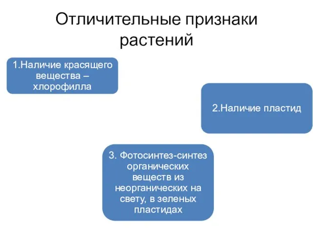 Отличительные признаки растений 1.Наличие красящего вещества – хлорофилла 2.Наличие пластид 3.