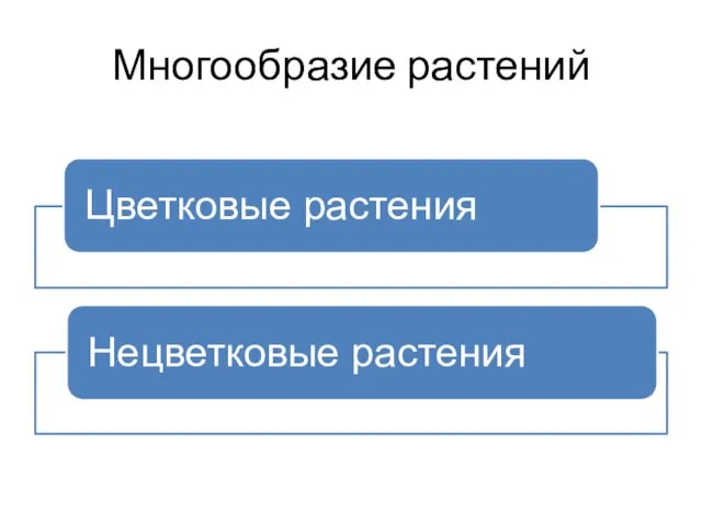 Многообразие растений Цветковые растения Нецветковые растения