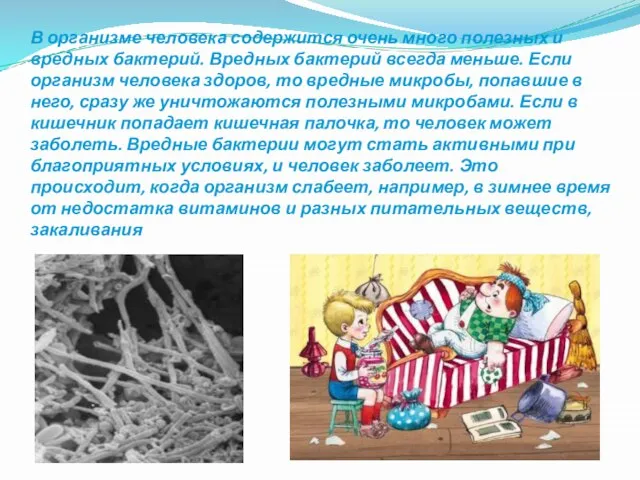 В организме человека содержится очень много полезных и вредных бактерий. Вредных